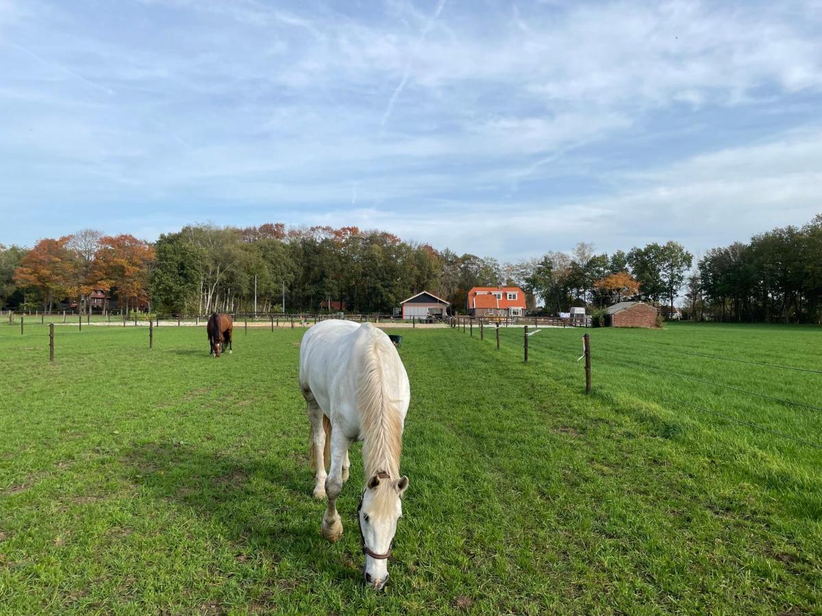 Bed & Breakfast Hoeve Happiness - Ontbijt Inbegrepen - Wellness Aanwezig 부투이젠 외부 사진