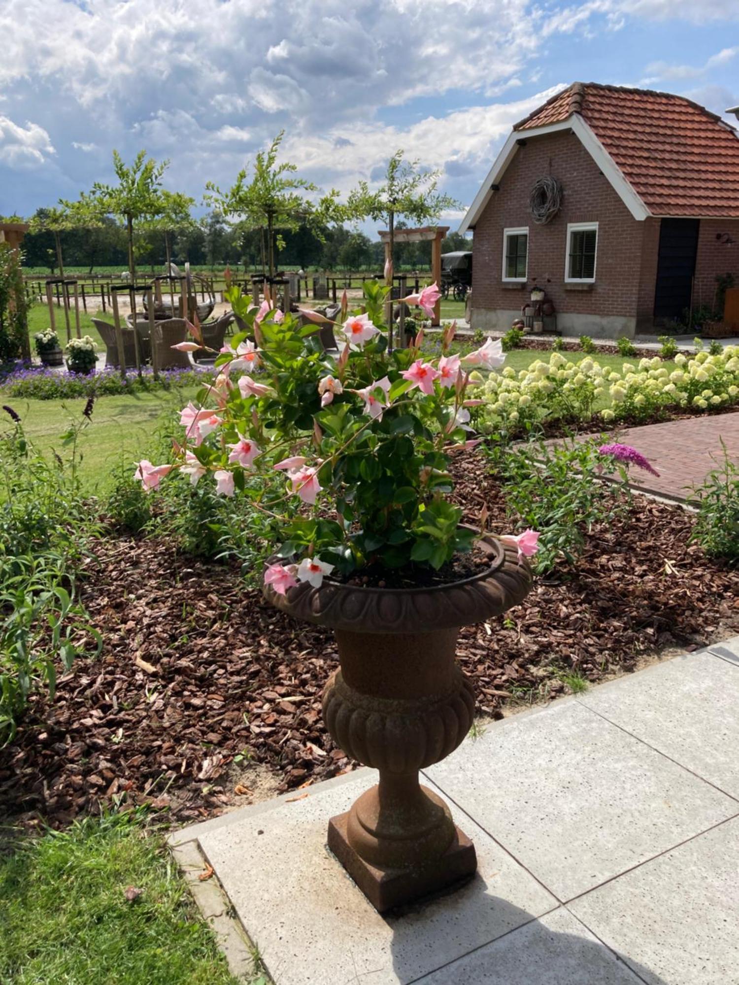 Bed & Breakfast Hoeve Happiness - Ontbijt Inbegrepen - Wellness Aanwezig 부투이젠 외부 사진