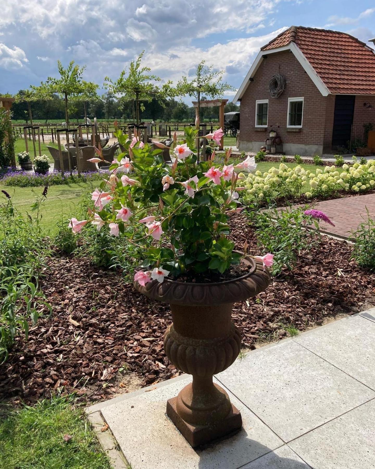 Bed & Breakfast Hoeve Happiness - Ontbijt Inbegrepen - Wellness Aanwezig 부투이젠 외부 사진