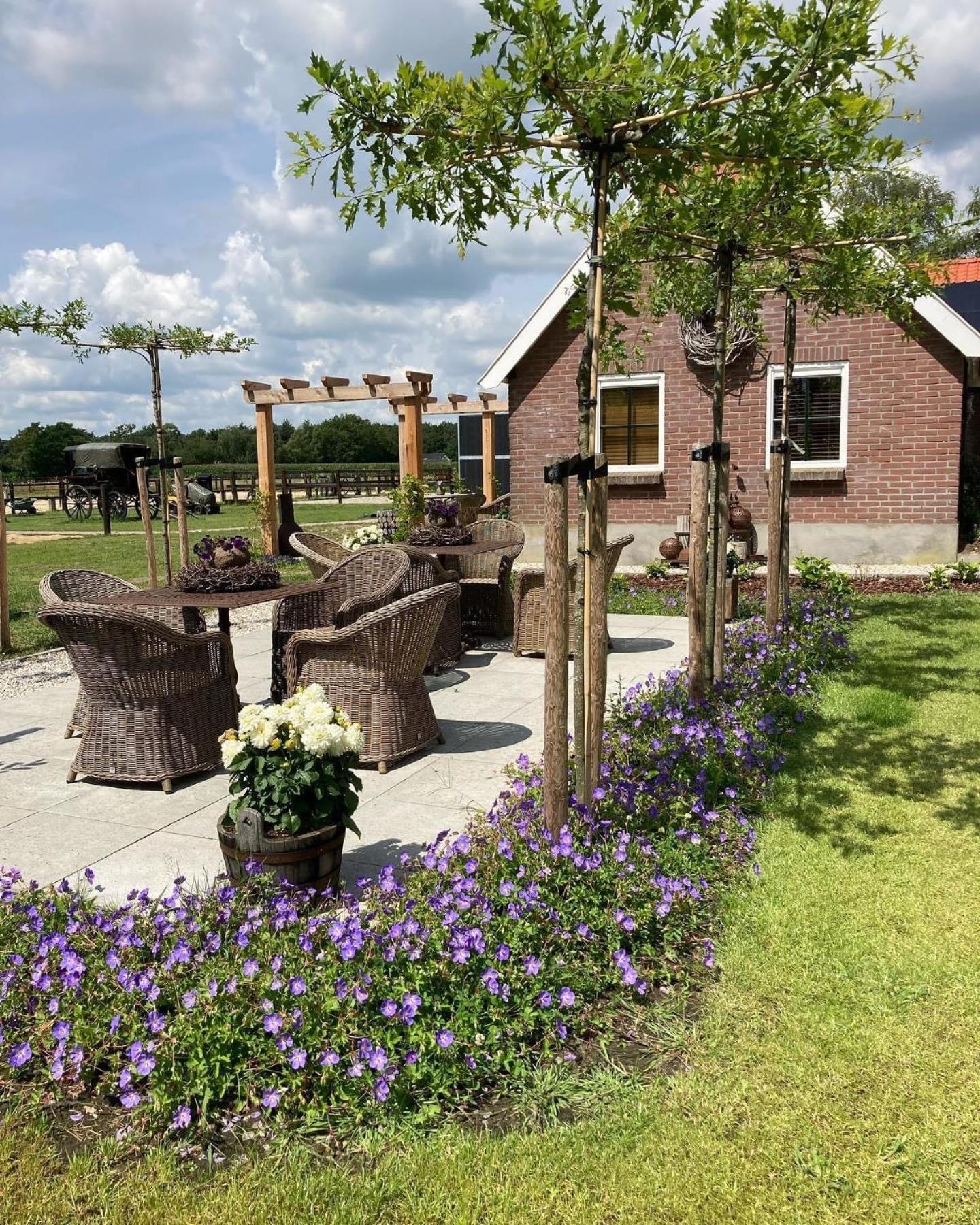 Bed & Breakfast Hoeve Happiness - Ontbijt Inbegrepen - Wellness Aanwezig 부투이젠 외부 사진