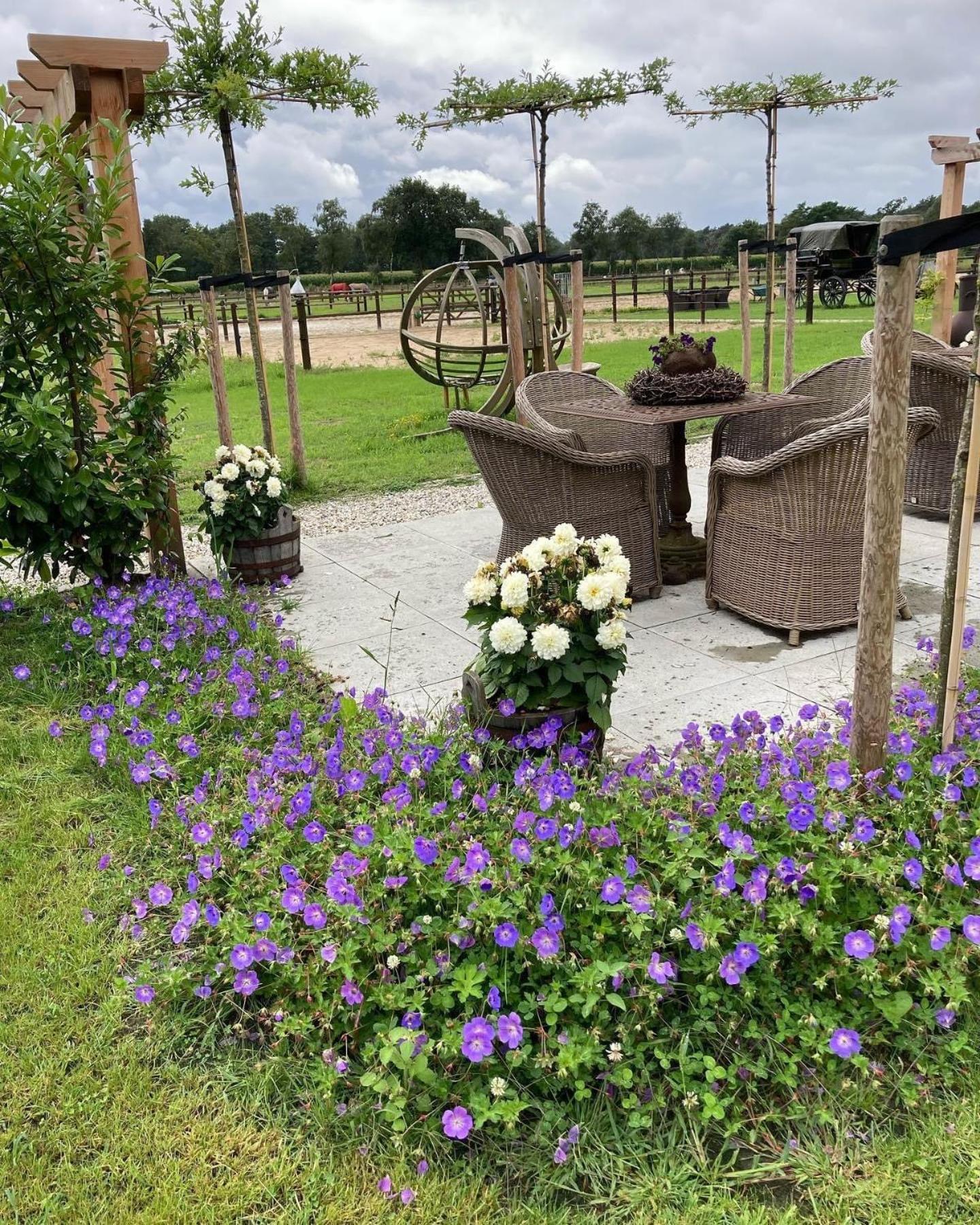 Bed & Breakfast Hoeve Happiness - Ontbijt Inbegrepen - Wellness Aanwezig 부투이젠 외부 사진