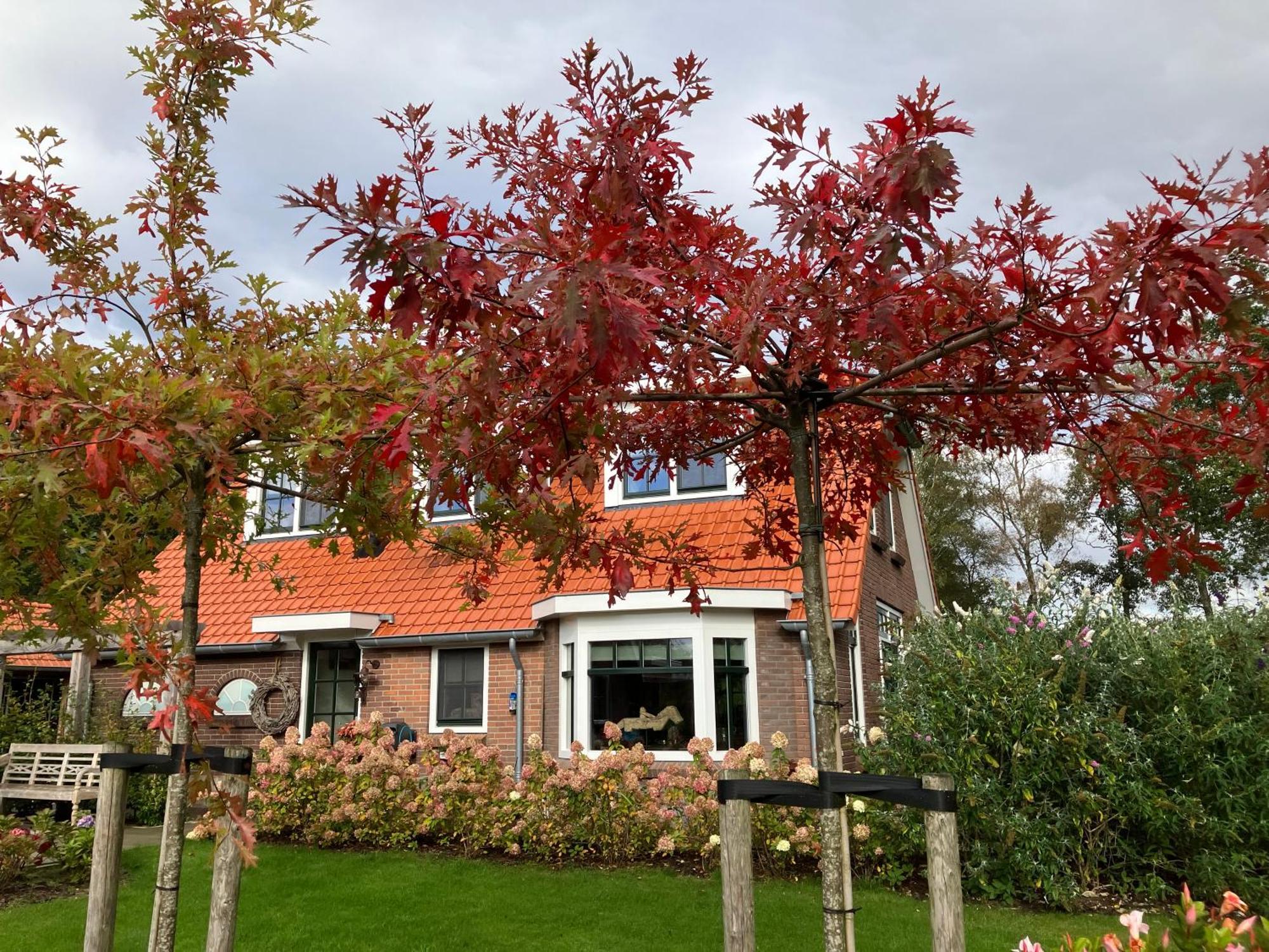 Bed & Breakfast Hoeve Happiness - Ontbijt Inbegrepen - Wellness Aanwezig 부투이젠 외부 사진